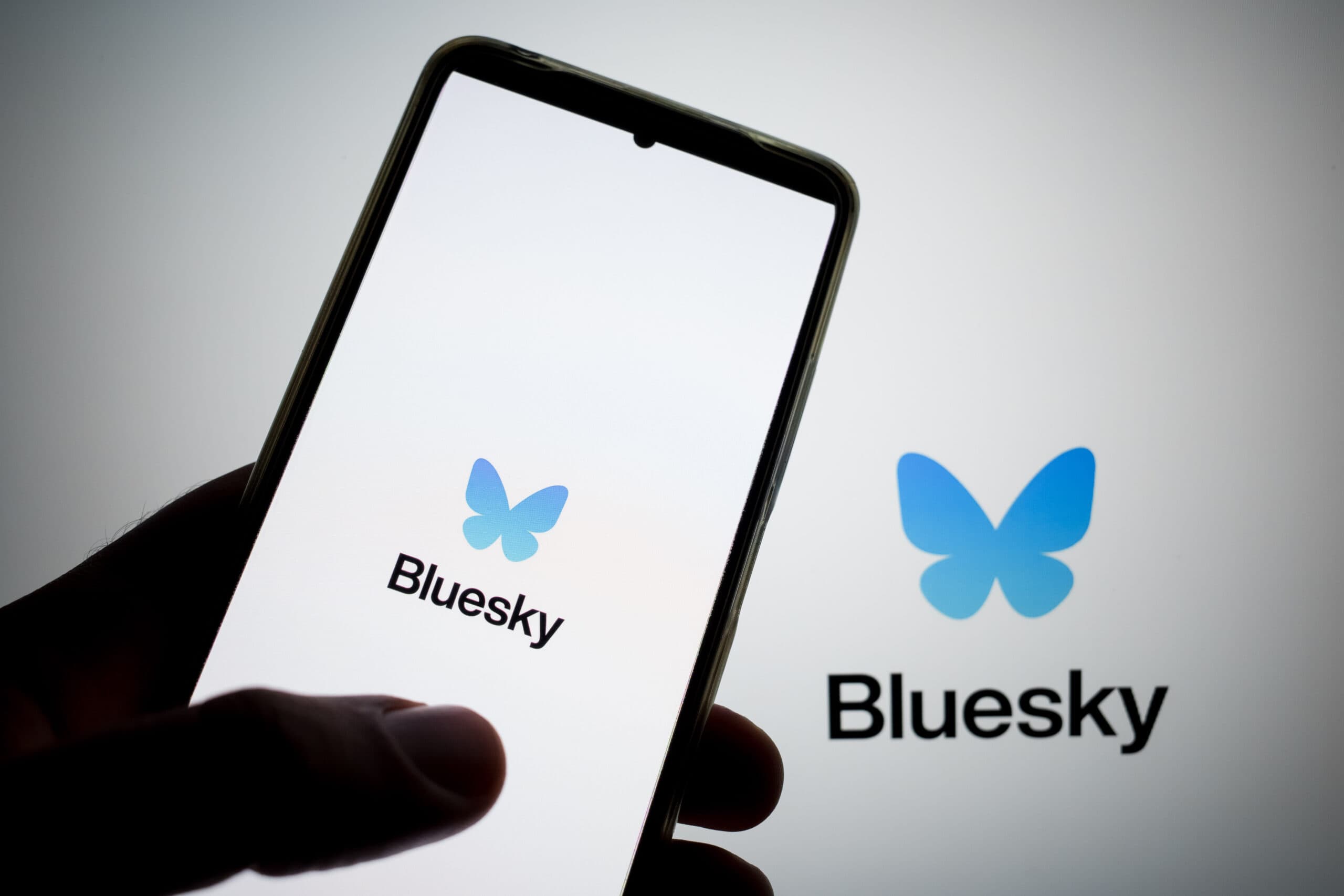 Over 1M Sign Up On Bluesky Since US Presidential Election As Users Seek Alternatives To Elon Musk's X Over 1M Sign Up On Bluesky Since US Presidential Election As Users Seek Alternatives To Elon Musk's X